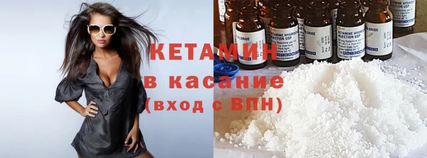 сатива Абинск