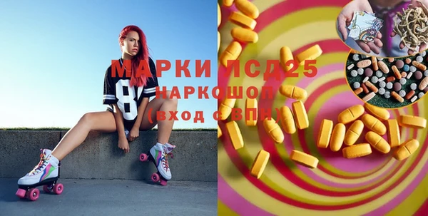 амф Новодвинск