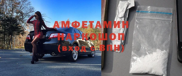 крисы Новозыбков