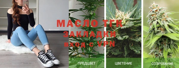 крисы Новозыбков