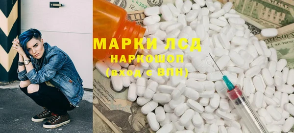 крисы Новозыбков